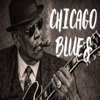 Blue Suit Blues – Chicago Blues, Jazz for Late Night Relax Blues - Blues Chicago new Single