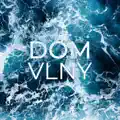 VLNY