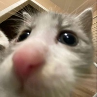 nothing - Single - Oncite