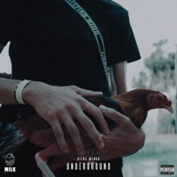 UNDERGROUND (feat. HIENA MENOR) - Single - G MONEY