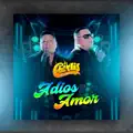 Adios Amor