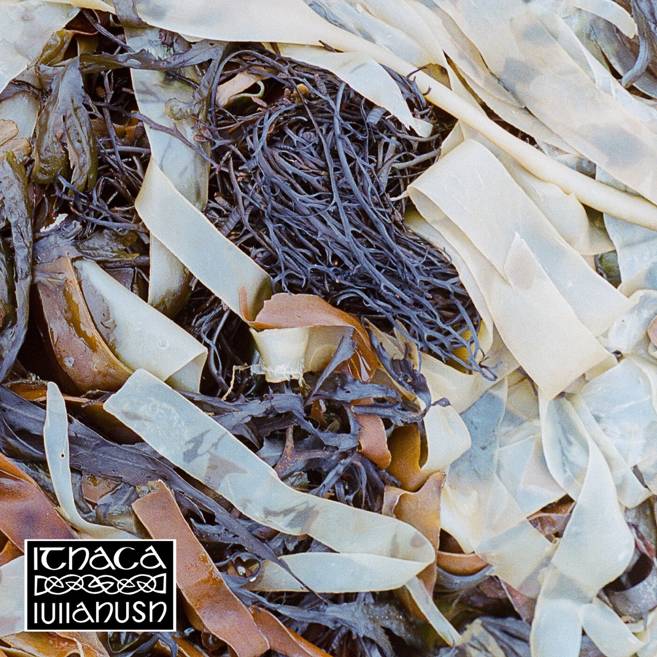 lullahush – Ithaca (2025) [iTunes Match M4A]