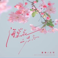 海棠花的思念 - Single - 墨绛 & 大可