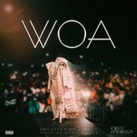Woa - Single - KWESI AMEWUGA