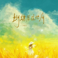 蝴蝶落在她肩 - Single - Yuean Wang