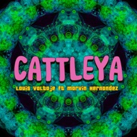 Cattleya (feat. Marvin hernandez) - Single - louis voltaje