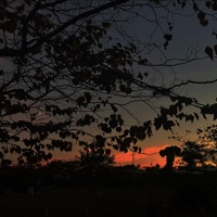 DOWNFALLHILL III - Single - DOWNFALLPAT!