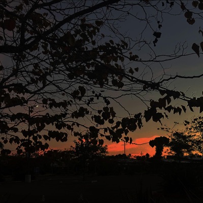 DOWNFALLHILL III - Single