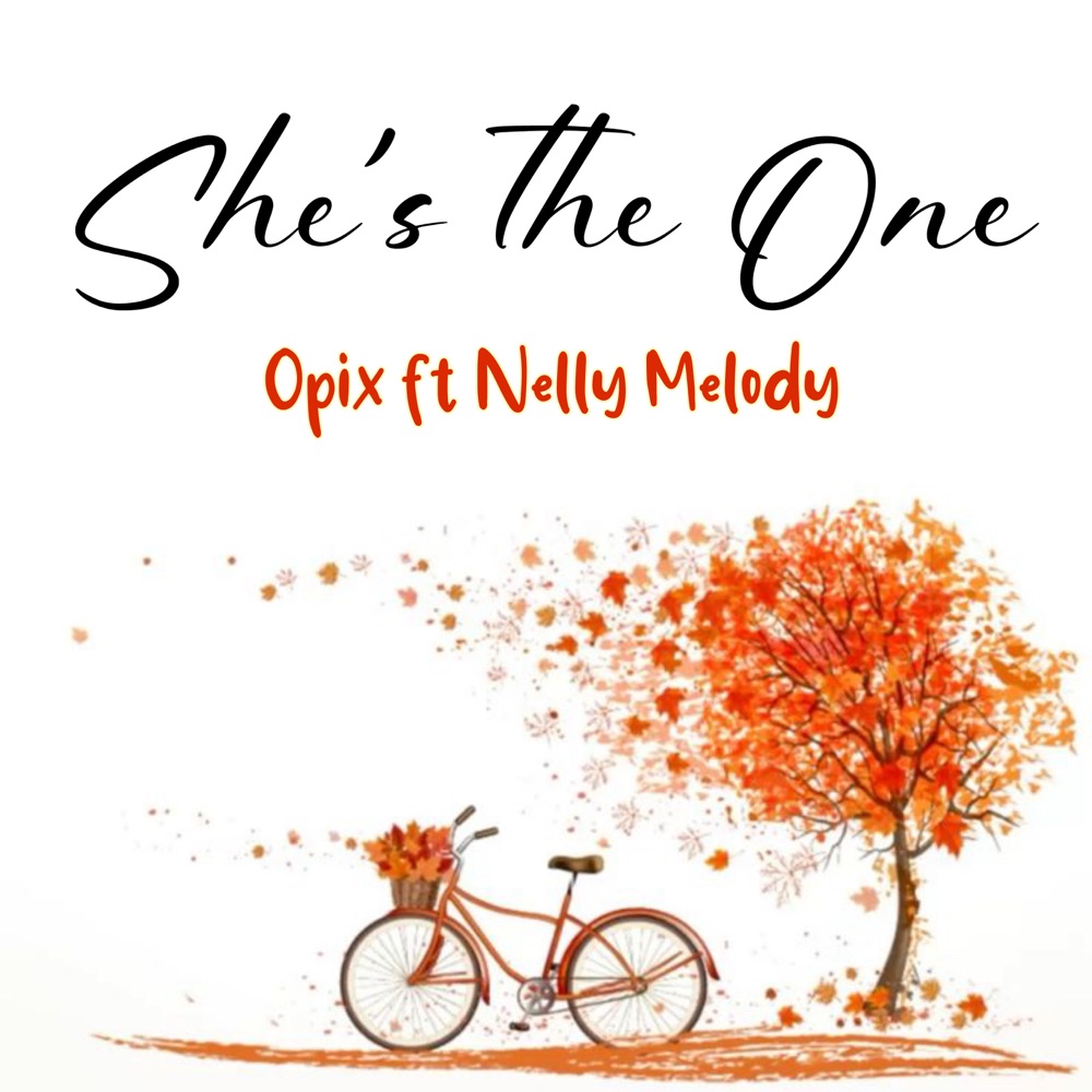 Обложка альбома «She's the One (feat. Nelly melody) - Single» — Opix official