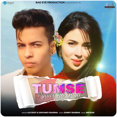 Tumse Pyaar Ho Gaya - Single