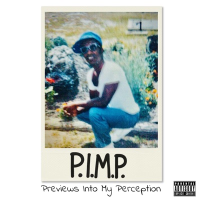 P.I.M.P. (Previews Into My Perception)