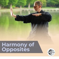 Harmony of Opposites - Yin Yang Man, Asian Zen Meditation & Traditional