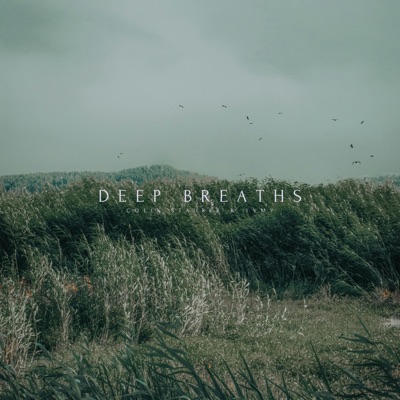 Deep Breaths (YVMV Remix) - Single