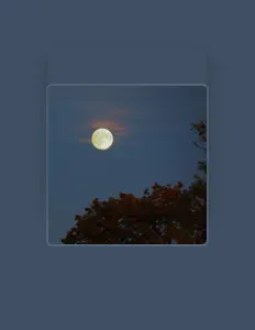 聆聽 PBz、觀看音樂影片、閱讀小傳、查看巡演日期等！