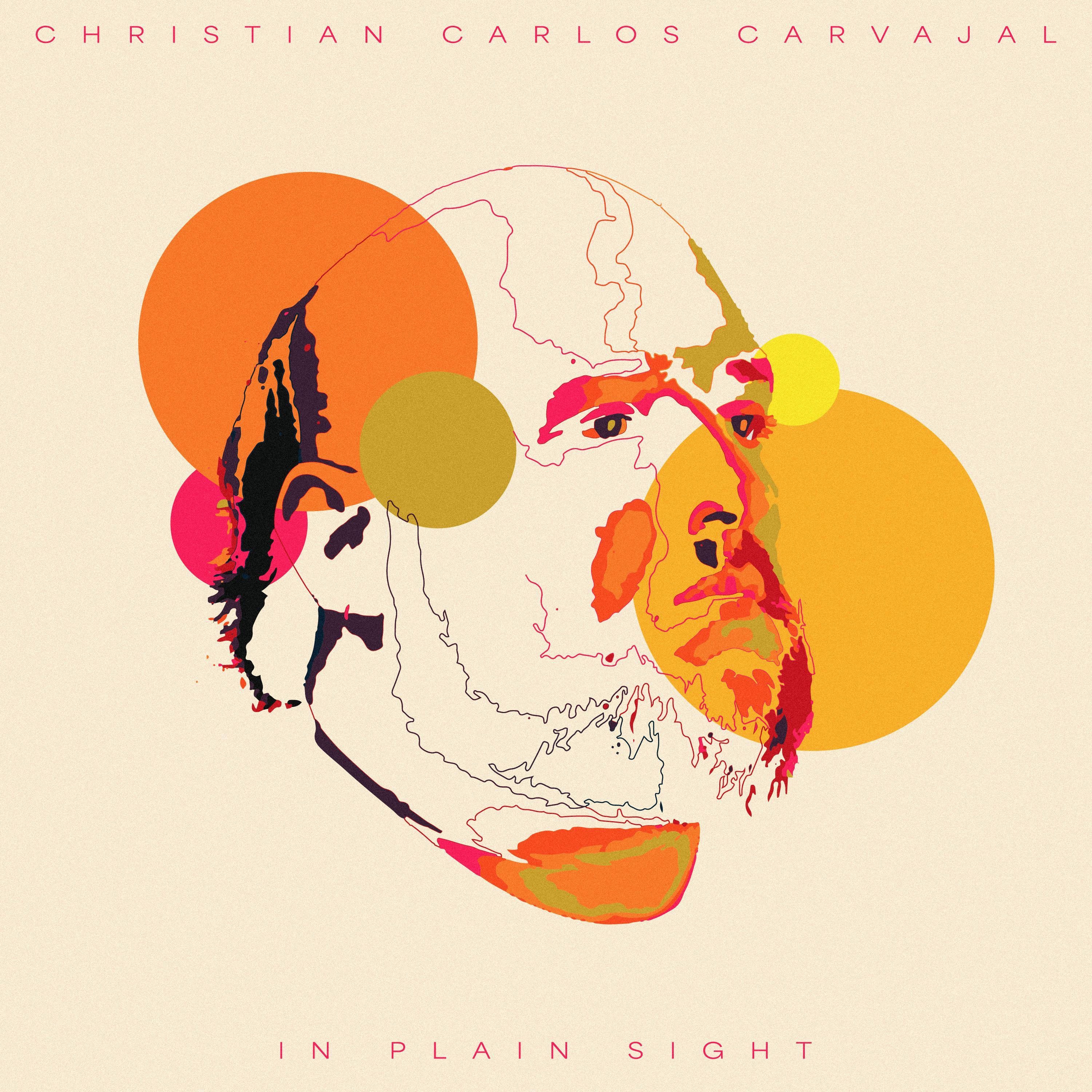 In Plain Sight - Single