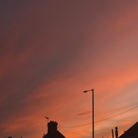 shade of red - Single - HXZRD