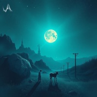 expect - Single - Akaona