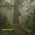 Good nature