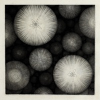 Goomland - EP - Landhouse