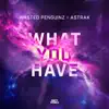 What You Have