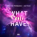 What You Have