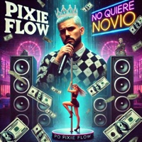 No Quiere Novio - Single - Pixie Flow