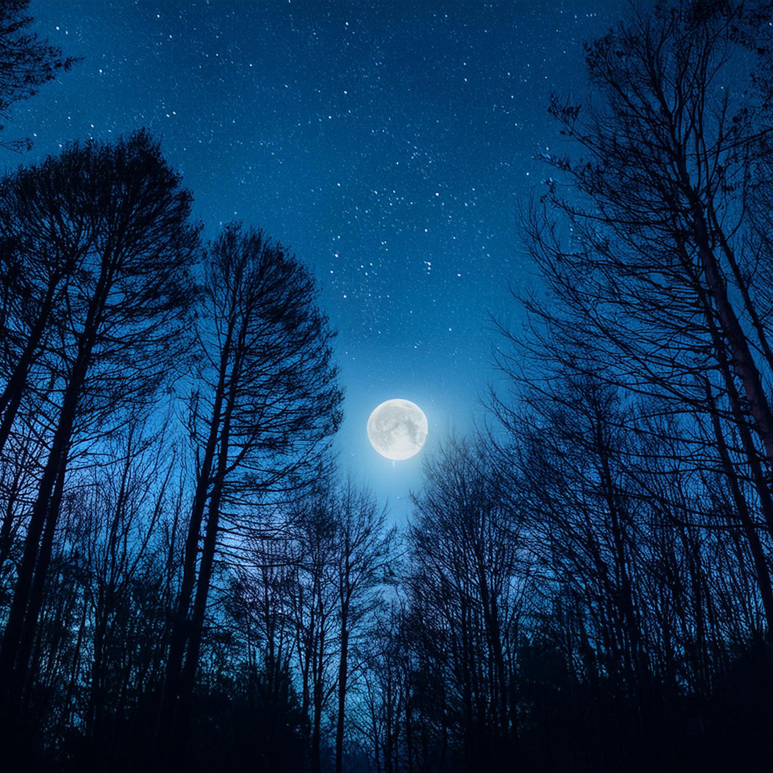 Underneath the Stars - Single