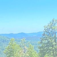 Wanna see (feat. zanji) - Single - LO3