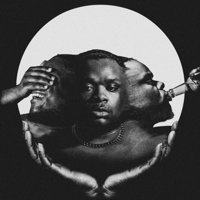 Woes, Lows, and The Way It Goes - EP