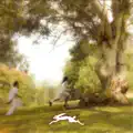 Rabbit Hole