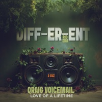 Love of a Lifetime - Single - Qraig Voicemail & 2cuz