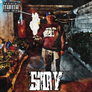 Soy