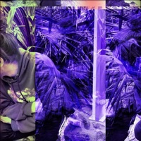 Hollow - Single - Jake Goodrum