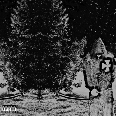 Never Again - Single
