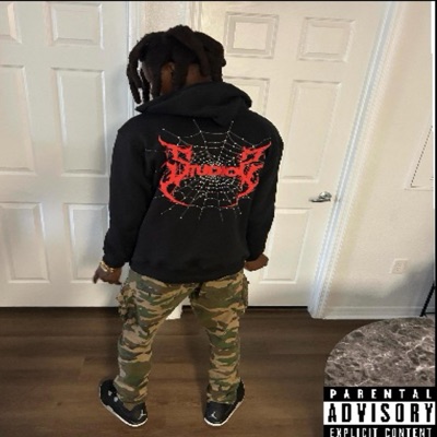 ToxikFlow - Single