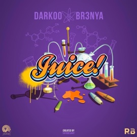 Juice (feat. darkoo) Br3nya
