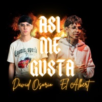 Así Me Gusta - Single - El Albert & David Osorio