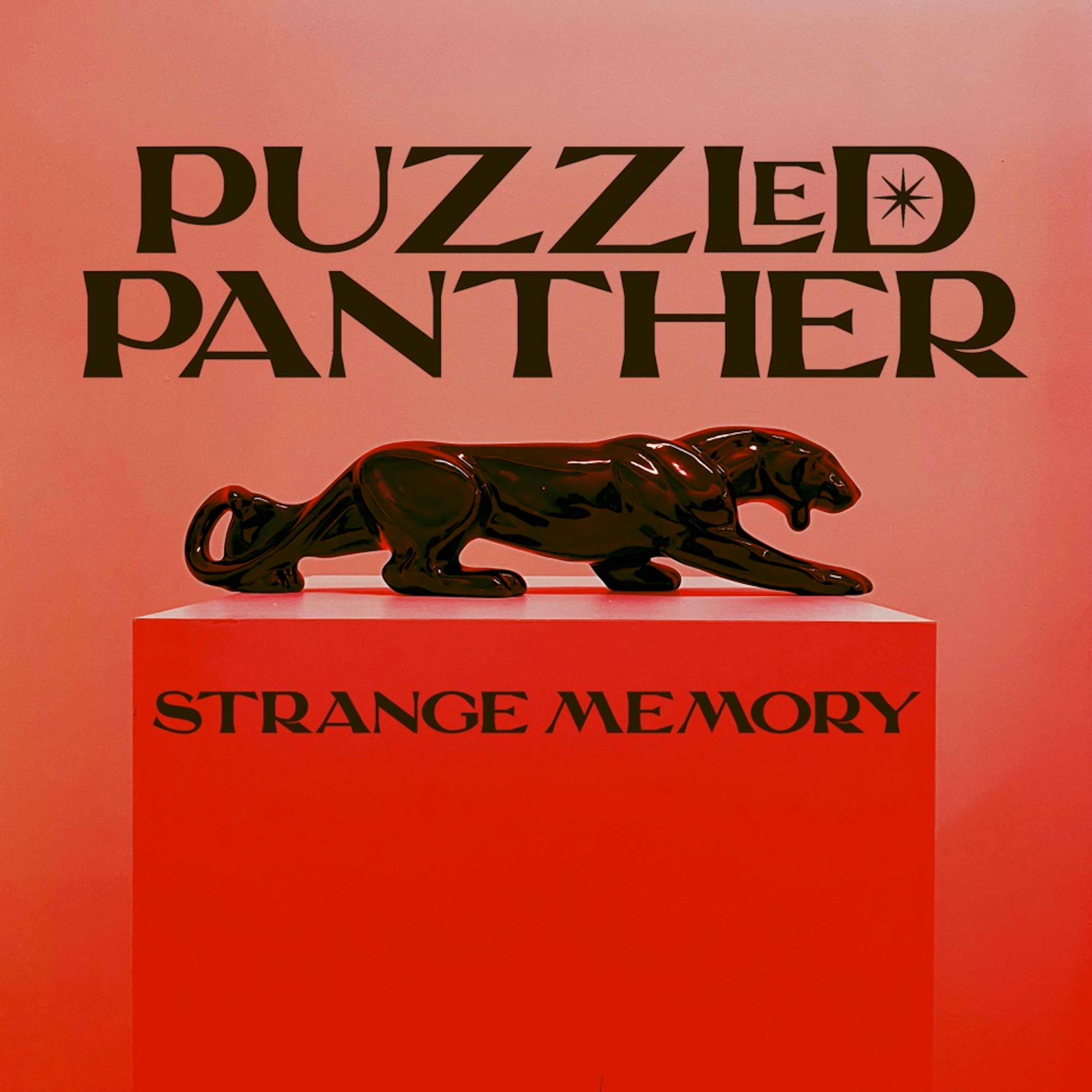 Strange Memory - Single