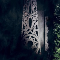 TimeLine - Single - ifyouWilL