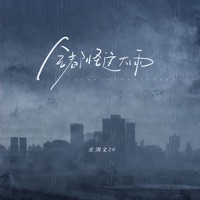 全都怪这大雨 - Single - 庄淇文29