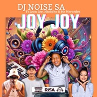 Joy Joy (feat. Leon Lee, Ntobeko & Mr Mecerdece) - Single - Dj Noise SA