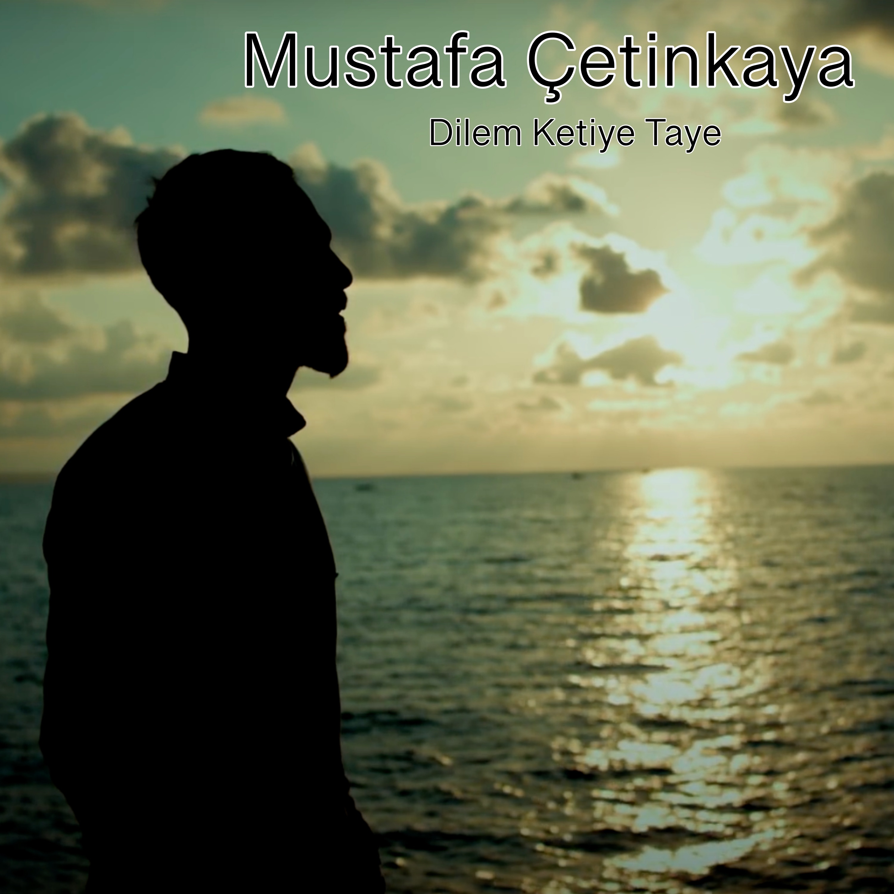 Dilem Ketiye Taye - Single