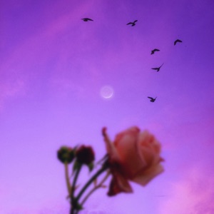 Afternoon Melancholic - EP