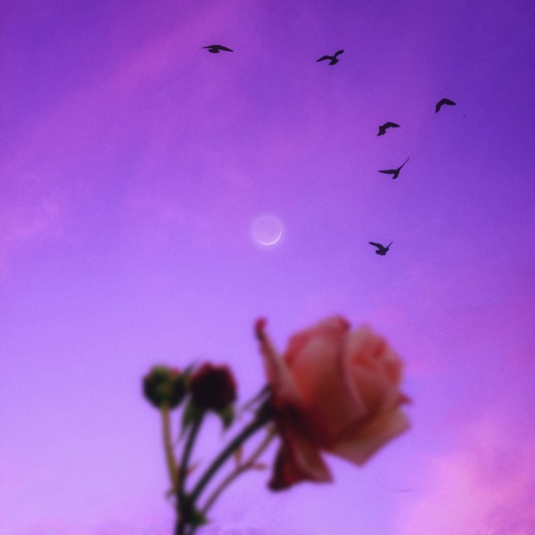 Afternoon Melancholic - EP