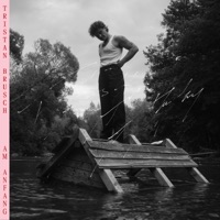 Am Anfang - Tristan Brusch