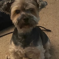 Who Diss?? (feat. Txk0) - Single - FNW