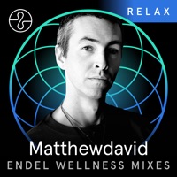 Relax: Matthewdavid x Endel (DJ Mix) - Matthewdavid