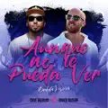 aunque no te pueda ver