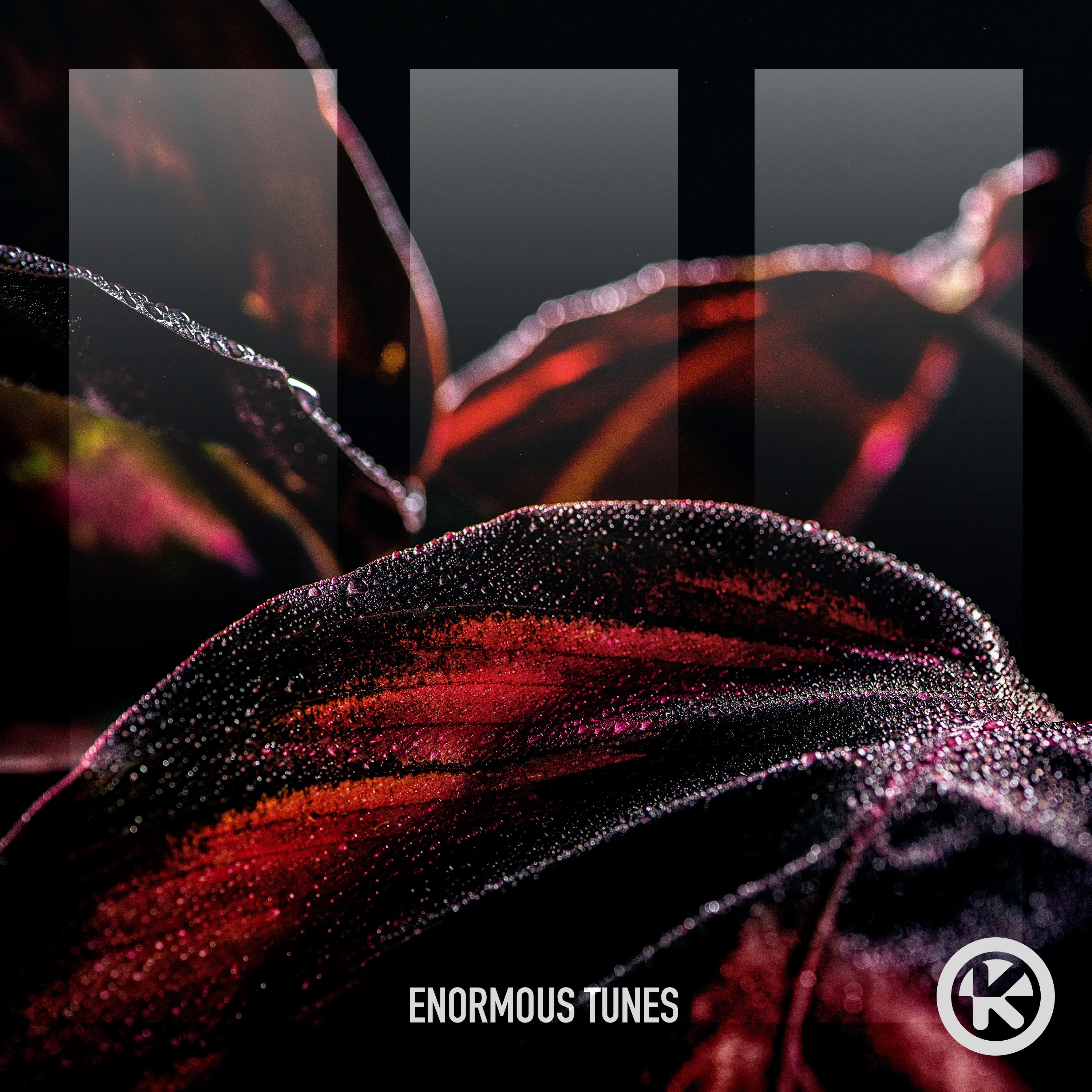 Don't Ever Look Back - Single