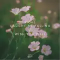  - Caught Me Falling